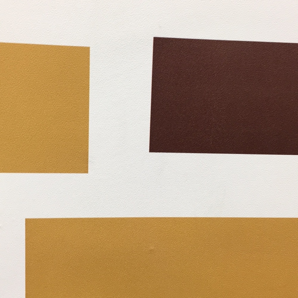 Meet your Posher, Rramakrishna